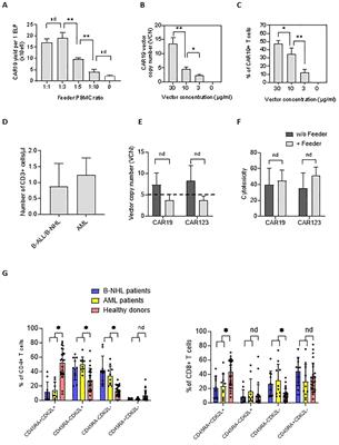 Corrigendum: Good manufacturing practice-grade generation of CD19 and CD123-specific CAR-T cells using piggyBac transposon and allogeneic feeder cells in patients diagnosed with B-cell non-Hodgkin lymphoma and acute myeloid leukemia